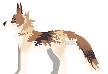 click to see full image!